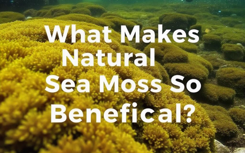 What Makes Natural Sea Moss So Beneficial?