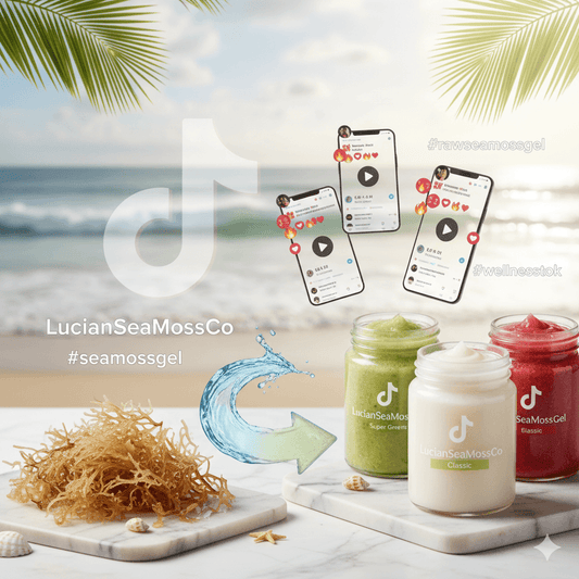 From Raw Sea Moss to delicious fruit-infused Sea Moss Gel: discover why this St. Lucia