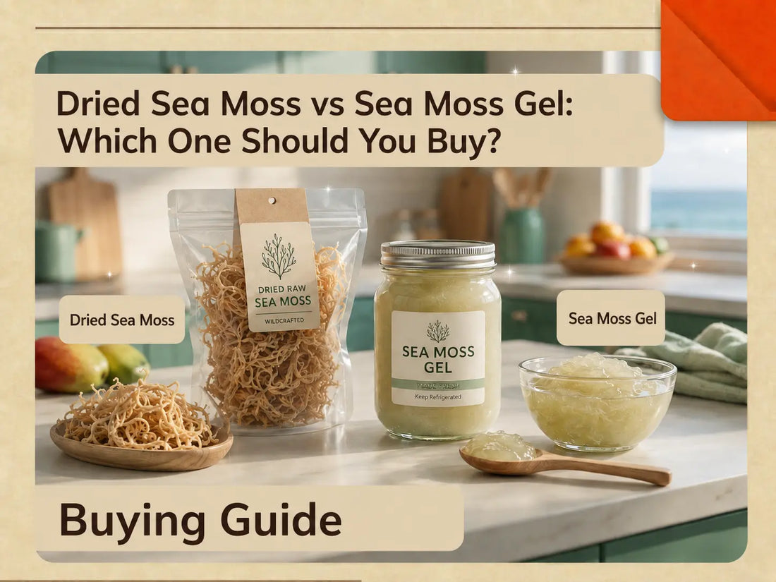 Dried sea moss vs sea moss gel