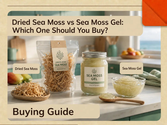 Dried sea moss vs sea moss gel