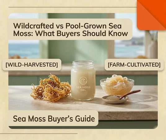 Dried wildcrafted sea moss before soaking with natural uneven strands