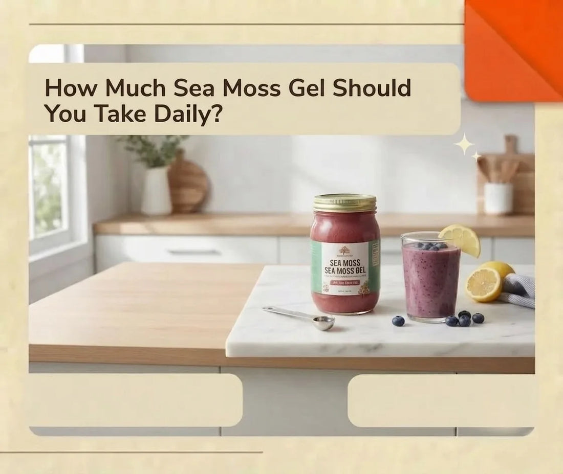 Sea Moss Global sea moss gel jar with measuring spoon and smoothie ingredients showing daily serving guidance