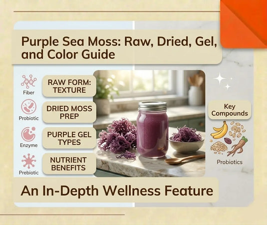 Purple dried sea moss before soaking with firm uneven strands
