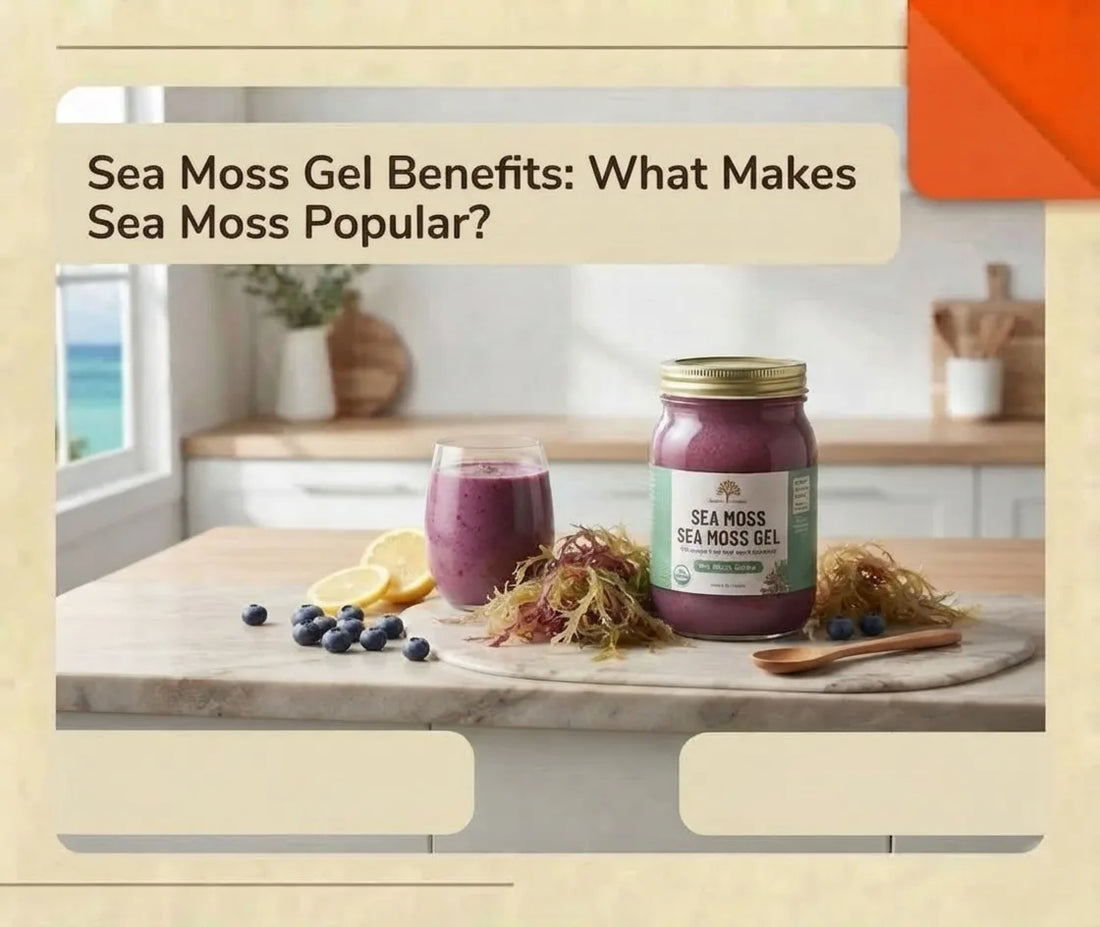 Sea Moss Global purple sea moss gel jar with fresh sea moss and smoothie ingredients