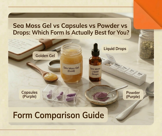 Four forms of sea moss displayed as a flat-lay: sea moss gel in a glass jar, sea moss drops in a dropper bottle, sea moss capsules, and sea moss powder in a ceramic dish — illustrating the comparison of sea moss gel vs capsules vs powder vs drops.