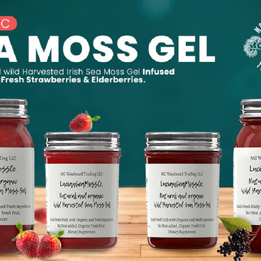 Sea Moss Gel with Ginkgo Biloba for Wellness