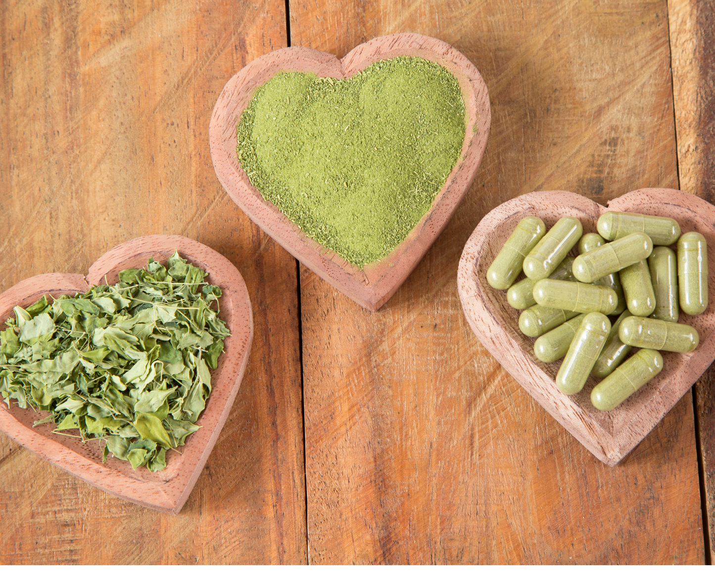 Organic Moringa Oleifera