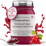 Fresh Organic Cranberry Infused Sea Moss Gel - Seamoss Global