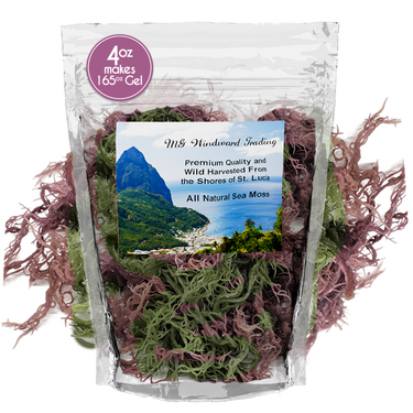 Wild Harvested Certified Raw Sea Moss