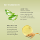 Moisturizing Hair Milk Spritz – Leave-In Conditioner for Natural & Curly Hair
