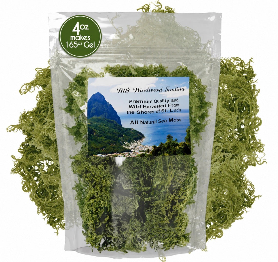 Pure Certified Wild Harvested Organic Green Raw Sea Moss