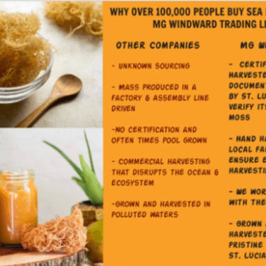 Best organic sea moss supplements