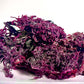 Pure Certified Wild Harvested Organic Purple Raw Sea Moss - Seamoss Global