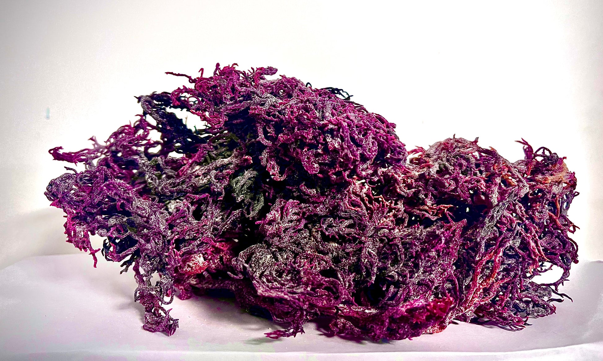 Pure Certified Wild Harvested Organic Purple Raw Sea Moss - Seamoss Global