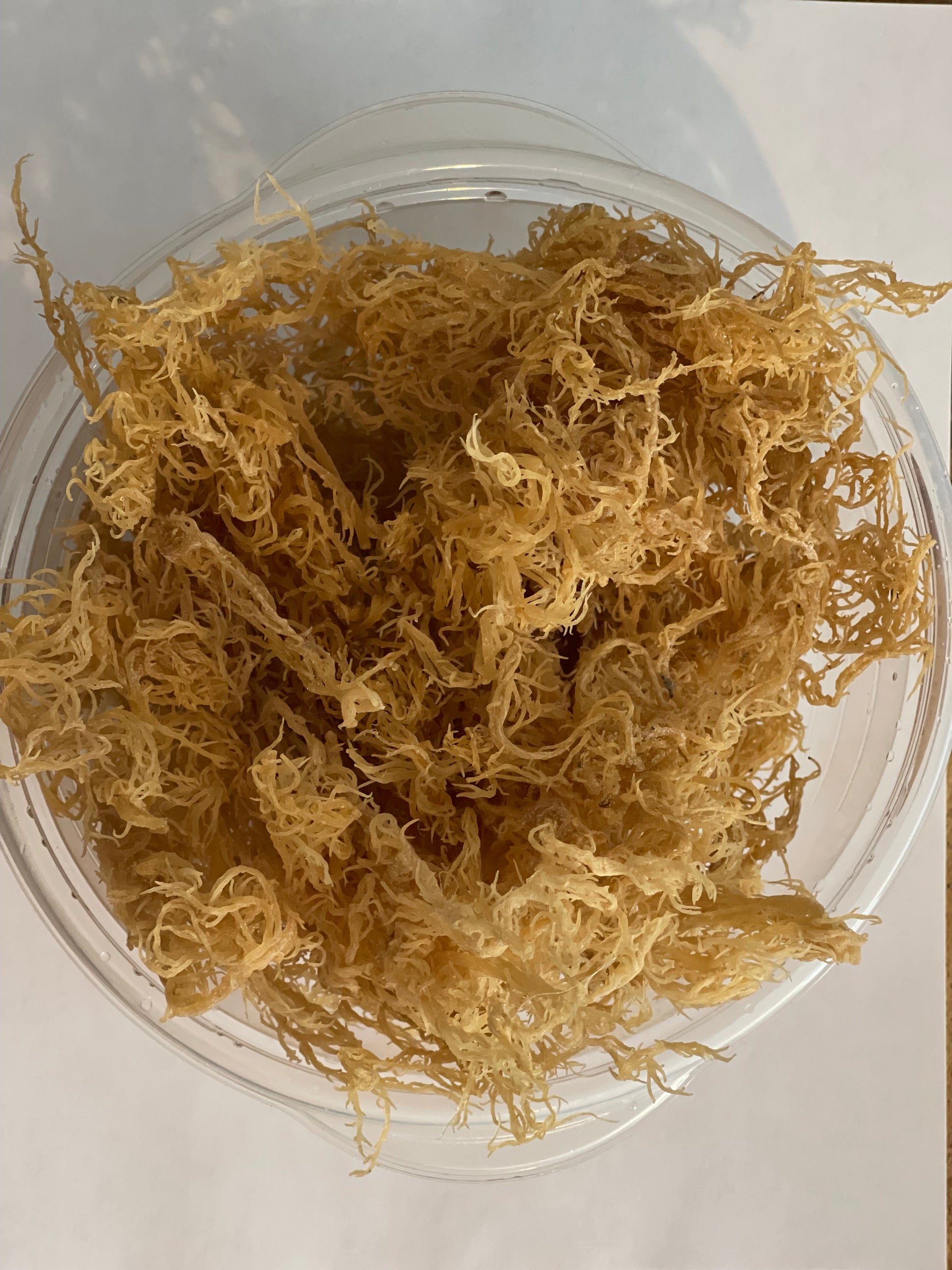 Certified Pure Wild Harvested Organic Gold Raw Sea Moss - Seamoss Global