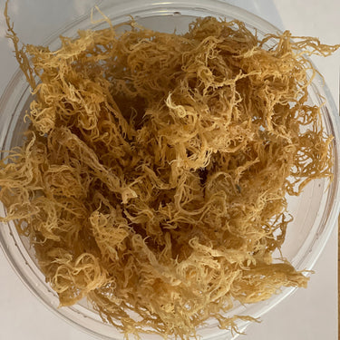 Wild Harvested Sea Moss