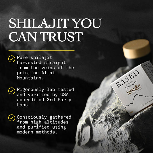 High Quality Pure Shilajit
