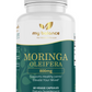 Organic Moringa Oleifera