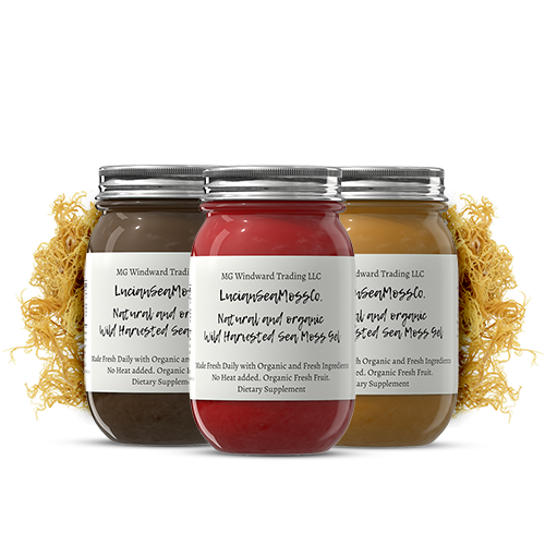 Organic MSM Infused Sea Moss Gel - Seamoss Global