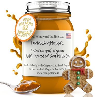 Organic Gingerbread Infused Sea Moss Gel