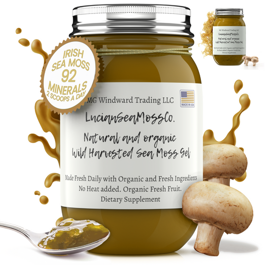 Organic Mega Mushroom Infused Sea Moss Gel - Seamoss Global