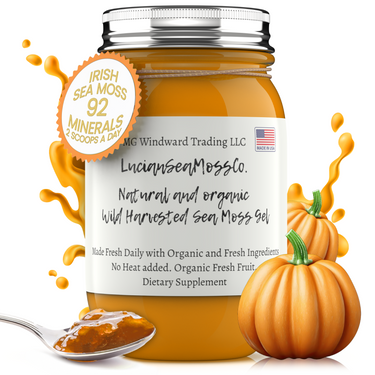 Organic Pumpkin Pie Infused Sea Moss Gel