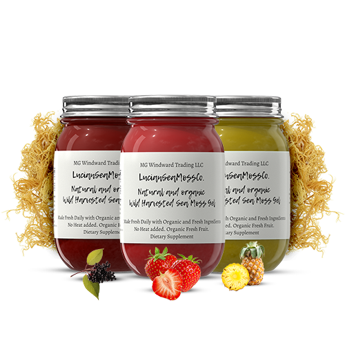 Organic Fruit Infused BEST SELLER Sea Moss Gel Bundle - Seamoss Global