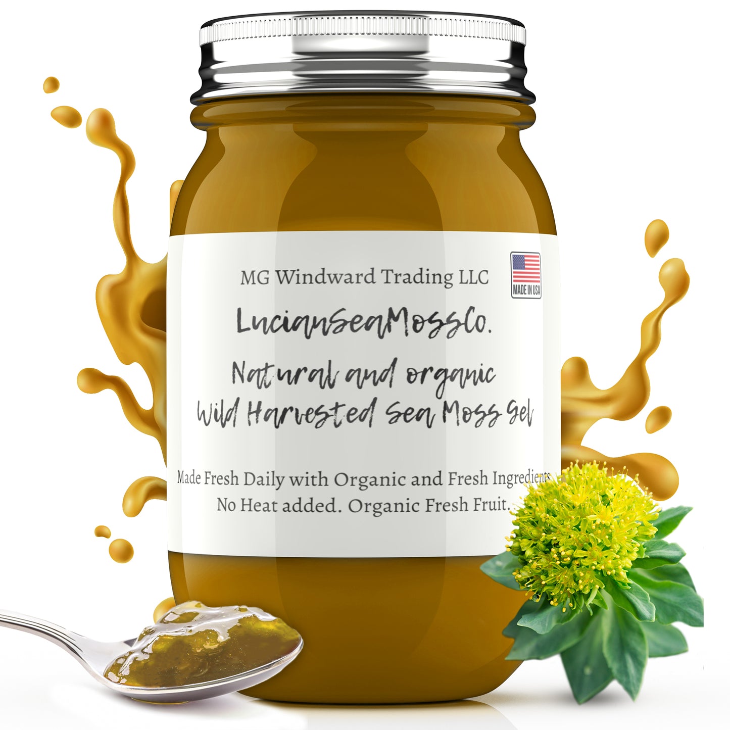 Rhodiola Infused Organic Sea Moss Gel - Seamoss Global
