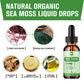 Organic Seamoss Drops with Burdock Root and Spirulina
