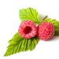 Raspberry - Keto Capsules