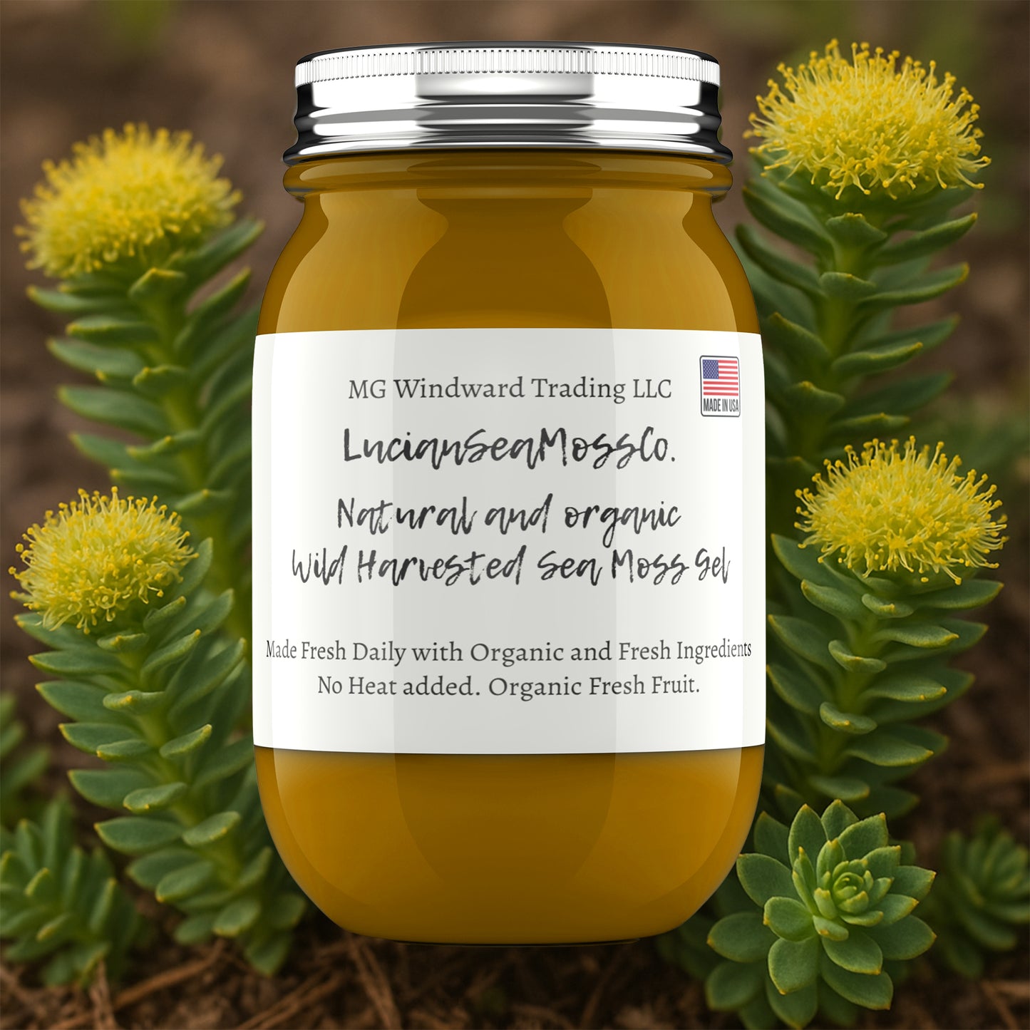 Rhodiola Infused Organic Sea Moss Gel - Seamoss Global