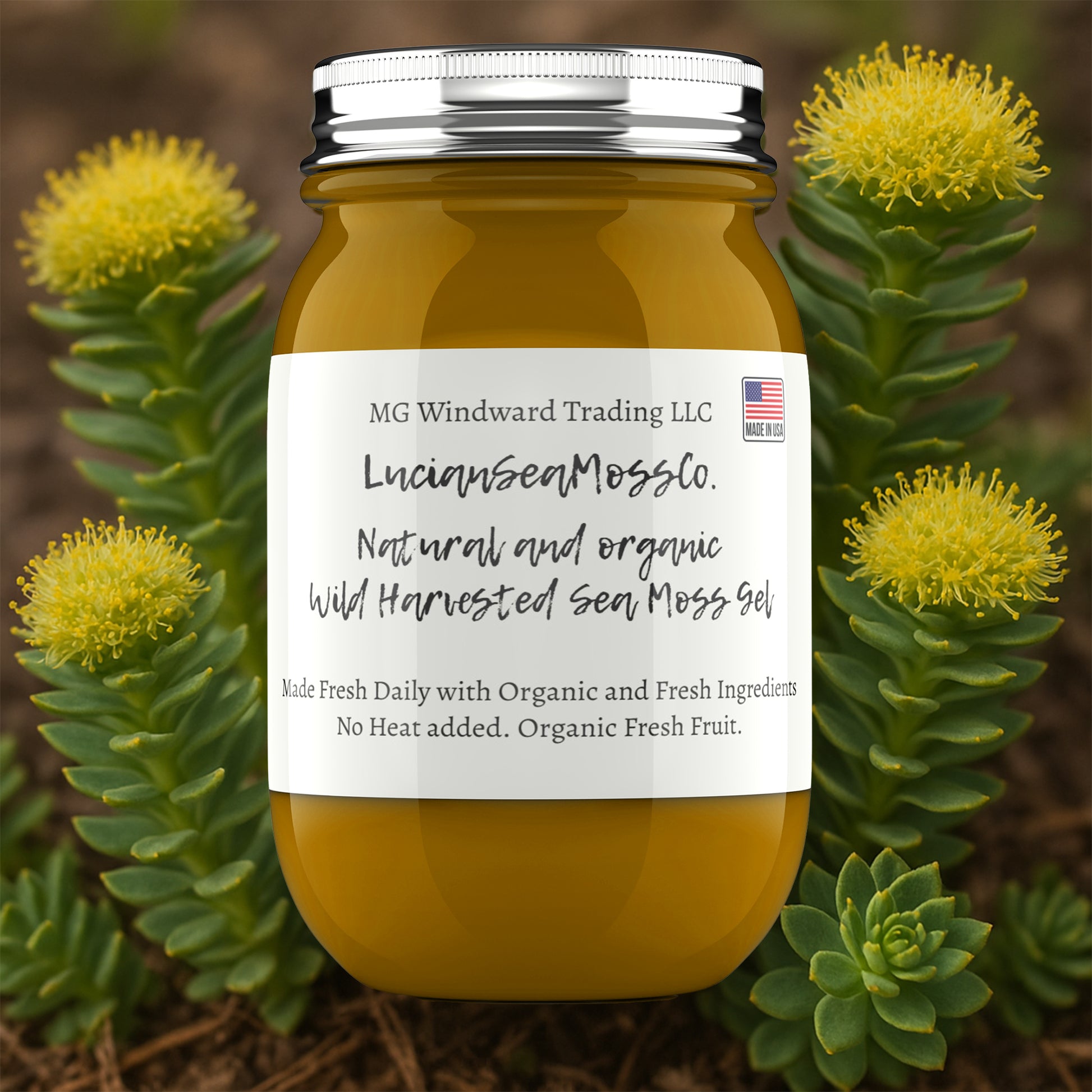 Rhodiola Infused Organic Sea Moss Gel - Seamoss Global