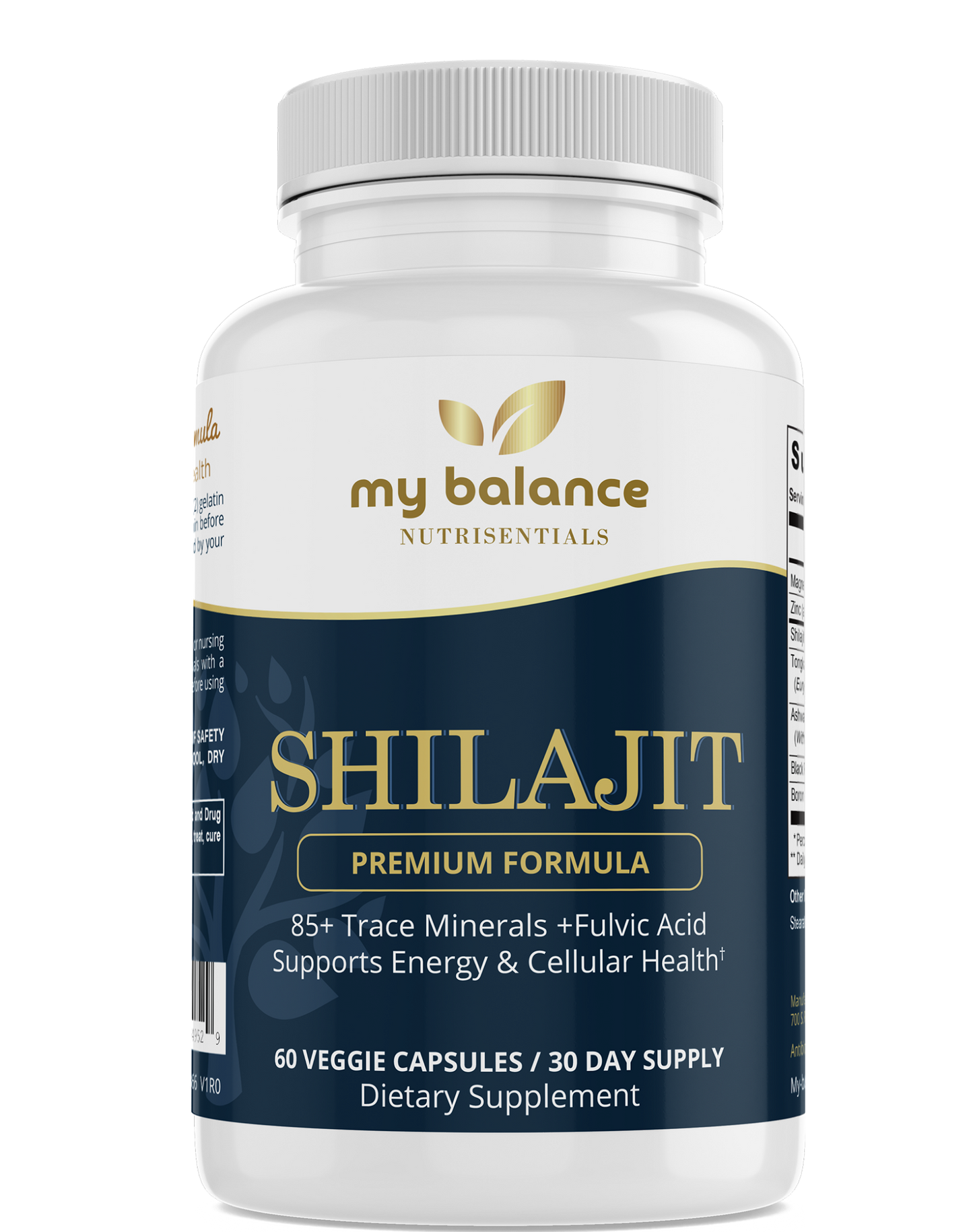 Shilajit - A Thoughtfully Crafted Formula