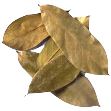 Organic Soursop Leaves